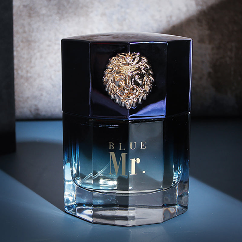 Mr Blue & Dark Men's Long-lasting Fragrance